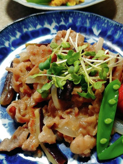 豚肉となすのさっぱりスタミナ炒め-レシピのメイン写真