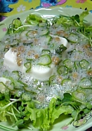 おくらと納豆のネバネバサラダ-レシピのメイン写真