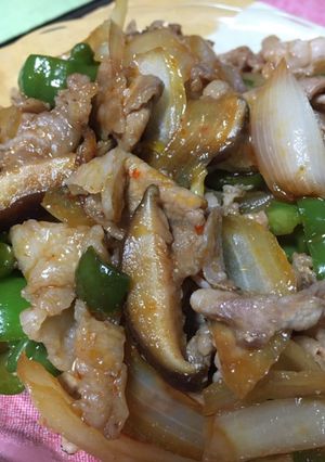 豚肉と野菜のピリ辛炒め-レシピのメイン写真