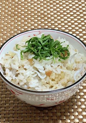 梅干しとしらすの混ぜご飯-レシピのメイン写真