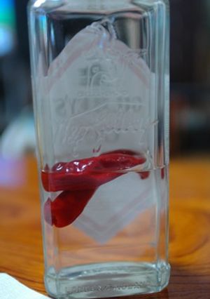 赤唐辛子入りジン-レシピのメイン写真