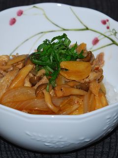 豚肉と新玉ねぎのピリ辛スタミナ丼♪-レシピのメイン写真