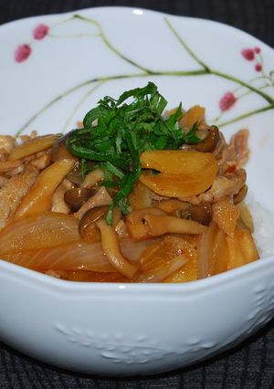 豚肉と新玉ねぎのピリ辛スタミナ丼♪-レシピのメイン写真