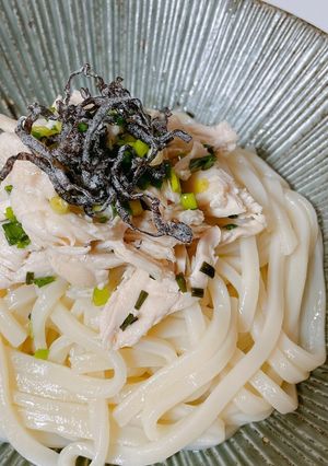 ささみねぎ塩うどん-レシピのメイン写真