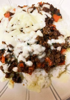 簡単すぐ作れるドライカレー-レシピのメイン写真