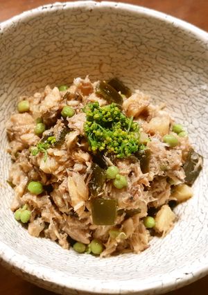 鯖水煮缶の佃煮 出し殻昆布、発酵玉葱-レシピのメイン写真