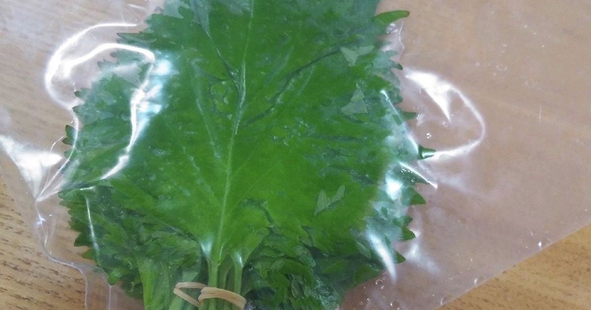 ズボラさん必見！大葉の超かんたんな保存法 by yunachi30