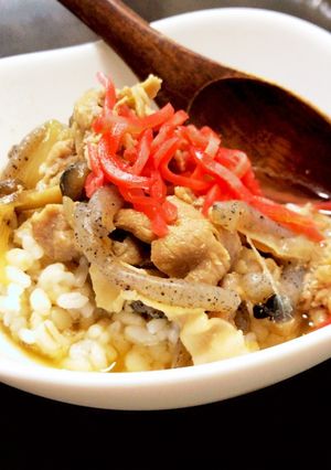 汁だく豚丼-レシピのメイン写真