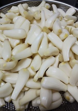 らっきょう漬け　２種-レシピのメイン写真