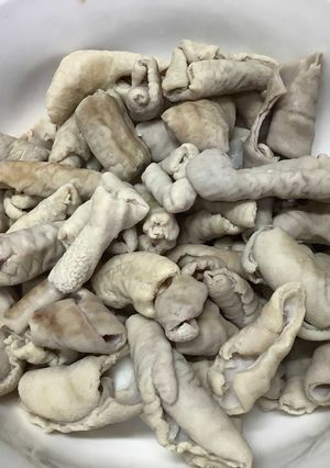 豚小腸の下ごしらえ-レシピのメイン写真