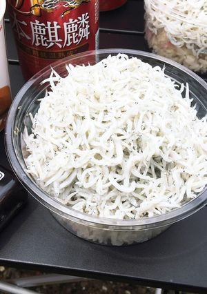 日本一美味い！しらす丼-レシピのメイン写真
