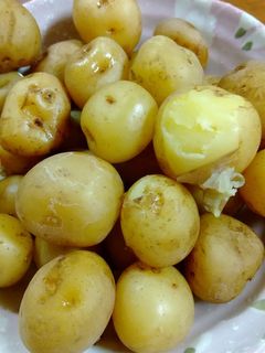 懐かしの味、新じゃがコロコロの塩茹で-レシピのメイン写真