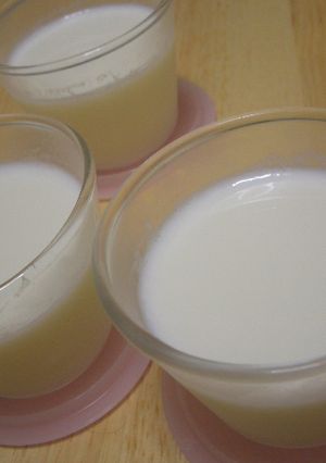 ほんのり甘い♪ふるふる牛乳プリン-レシピのメイン写真