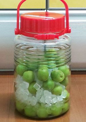 自家製 梅シロップ-レシピのメイン写真