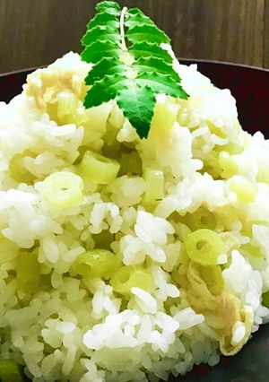 フキのシンプル混ぜご飯-レシピのメイン写真