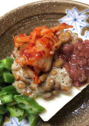 発酵・発酵・冷奴-レシピのメイン写真