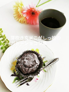 お砂糖無しのガトーショコラ風-レシピのメイン写真