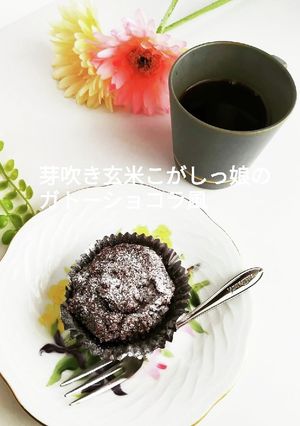 お砂糖無しのガトーショコラ風-レシピのメイン写真