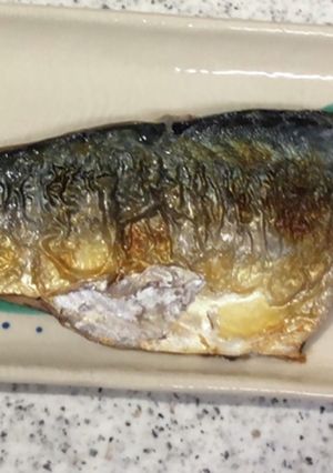 フライパンで焼くサバの塩焼き-レシピのメイン写真