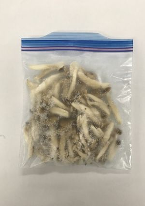 冷凍保存~しめじ~-レシピのメイン写真