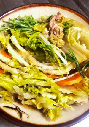 余り野菜でミルフィーユ白菜豚肉-レシピのメイン写真