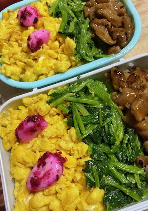 3色弁当-レシピのメイン写真