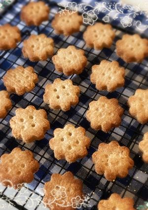 ライ麦とおからのビスケット-レシピのメイン写真