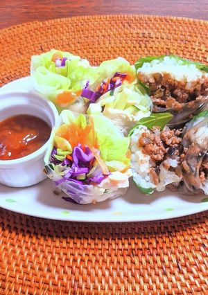 カラフル夏野菜生春巻きとそぼろ飯生春巻き-レシピのメイン写真