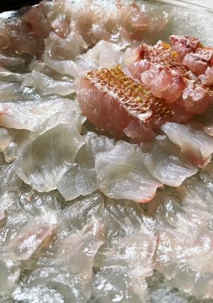 若狭湾のレンコダイ、アオハタの刺身-レシピのメイン写真
