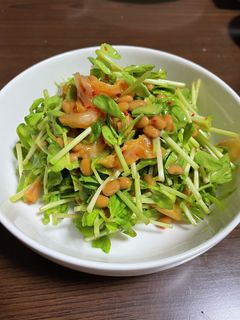 W発酵パワーのおつまみサラダ-レシピのメイン写真