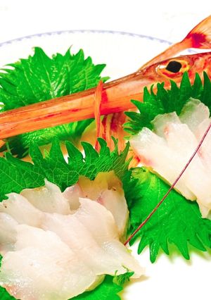アカヤガラのお造り【ヤガラの捌き方】-レシピのメイン写真