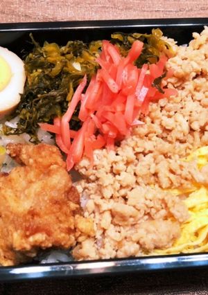 高菜と親子弁当　0526-レシピのメイン写真