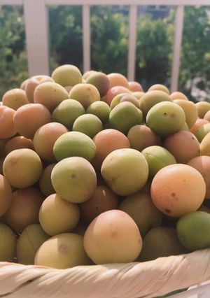 小梅のカリカリ漬け-レシピのメイン写真