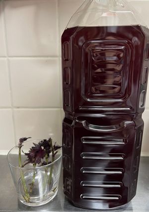 ズボラでも作れる紫蘇ジュース🥤-レシピのメイン写真