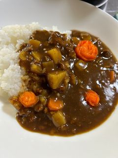 ハンバーグを使ったこだわり和風カレー!-レシピのメイン写真