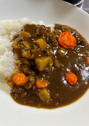 ハンバーグを使ったこだわり和風カレー！-レシピのメイン写真