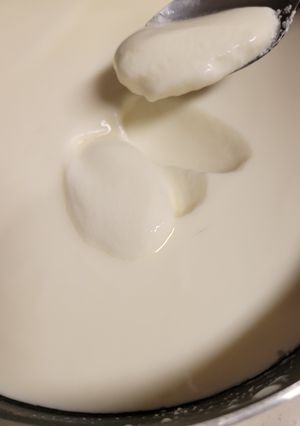 材料2つ手作りヨーグルト☆オーガニックも-レシピのメイン写真