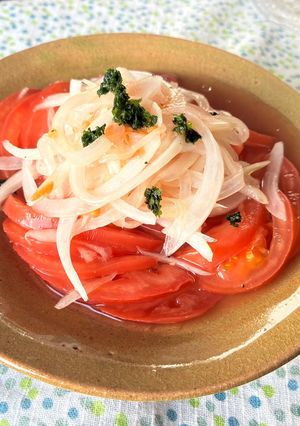 カンタン酢ギ！新玉ねぎとトマトサラダ-レシピのメイン写真