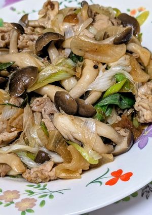 豚肉と大根としめじと長ネギの炒め物-レシピのメイン写真