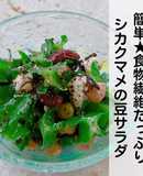 食物繊維たっぷり♡シカクマメの豆サラダ