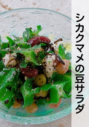 食物繊維たっぷり♡シカクマメの豆サラダ-レシピのメイン写真
