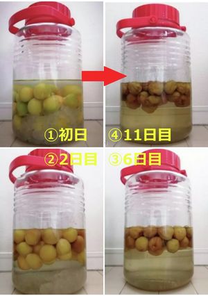 ★2021年★自家製梅酒★-レシピのメイン写真