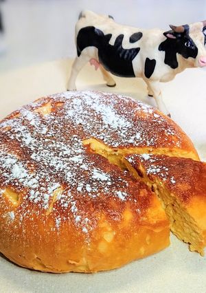おからパウダー入りチーズケーキ♫-レシピのメイン写真