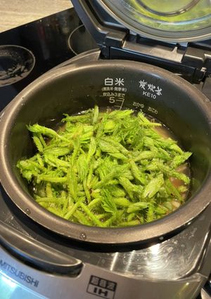 【タラの芽　炊き込みご飯】山菜を食べる-レシピのメイン写真