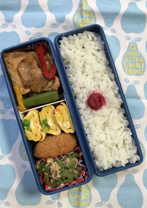 20210527マイ弁当-レシピのメイン写真