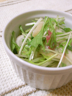 梅酢ドレッシングで★かぶと水菜のサラダ-レシピのメイン写真