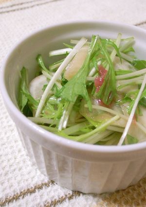 梅酢ドレッシングで★かぶと水菜のサラダ-レシピのメイン写真