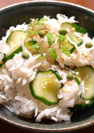 胡瓜・しらす・実山椒のさっぱり混ぜご飯-レシピのメイン写真