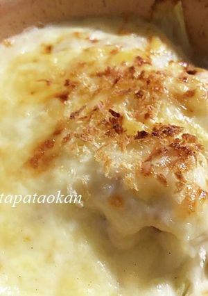 白菜のグラタン-レシピのメイン写真
