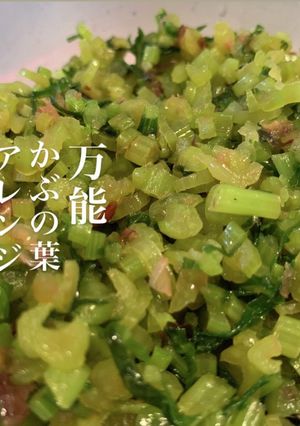 万能カブの葉-レシピのメイン写真